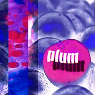 plum